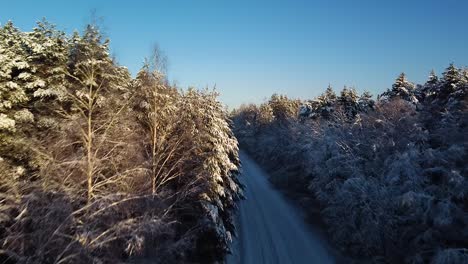Beautiful-scenic-aerial-view-of-a-winter-forest-in-sunny-winter-day,-trees-covered-with-fresh-snow,-ice-and-snow-covered-road,-wide-angle-fast-ascending-drone-shot-moving-forward-high