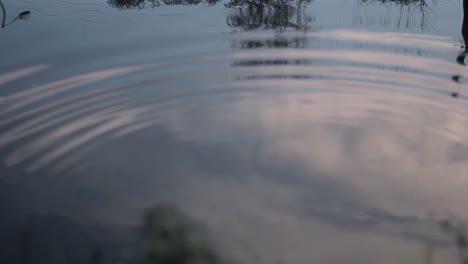 Pebble-in-water-creates-ripples-reflection-of-sky