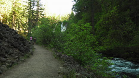 Family-walking-on-a-forest-trail,-next-to-a-stream-flowing,-near-Burney-Falls,-California