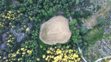 Aerial-view-of-field-surrounded-by-trees-in-Peneda-Geres-National-Park,-Portugal,-Europe,-circling