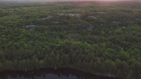 Aerial-drone-shot-flying-up-and-tilting-downwards-over-the-forest-next-to-Charletston-Lake-in-Ontario