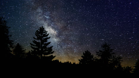 Eine-VFX-Aufnahme-Eines-Astro-Zeitraffers-Einer-Sternenklaren-Nacht-Mit-Der-Milchstraße-Und-Kiefern-Im-Vordergrund
