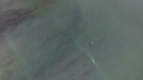 Luftaufnahmen-Von-Surfern-Im-Ozean-Entlang-Der-Küste-Südafrikas