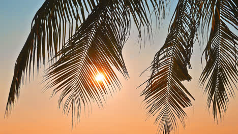 Wunderschöne-Landschaft-Am-Meeresstrand-Mit-Kokospalmen-Bei-Sonnenuntergang
