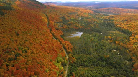 Drone-footage-lowering-down-towards-dirt-road-winding-through-golden-autumn-forest-in-northern-maine