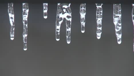 Close-up-of-melting-dripping-icicles