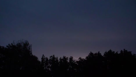 Lightning-strikes-in-the-distance-behind-trees-at-night---180-fps-slow-motion