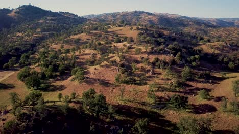 Brown-foothill-mountains-covered-in-trees-in-Tehachapi,-California,-AERIAL-PULL