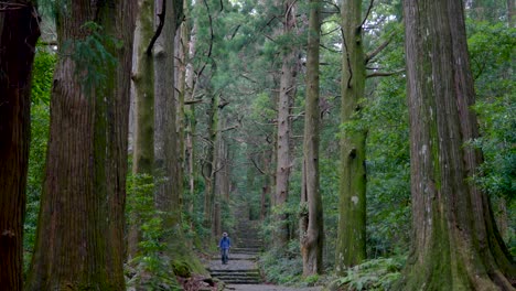 Man-hiking-a-section-of-the-Koyasan-Pilgrimage-Trail-in-Japan