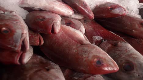 Frischer-Fisch-Gestapelt-Und-Zum-Verkauf-Auf-Dem-Fischermarkt-Bereit