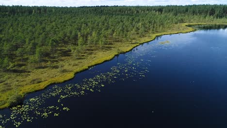 Rised-bog-aerial-wide-view-in-autumn-colors