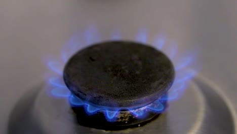 Gas-burner-on-cooker-being-turned-down-to-save-energy