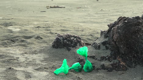 Zwei-Grüne-Tüten-Mit-Hundekot,-Die-Am-Strand-Zurückgelassen-Wurden