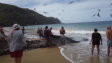 Dragnet-fishing-in-the-Caribbean,-on-the-laid-back-island-of-Tobago-as-birds-are-flying-by