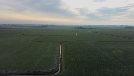 Drone-hover-flight-Over-meadows-Europe-Netherlands,-Friesland