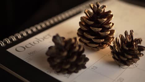 October-calendar-with-autumn-pine-cones-panning-shot