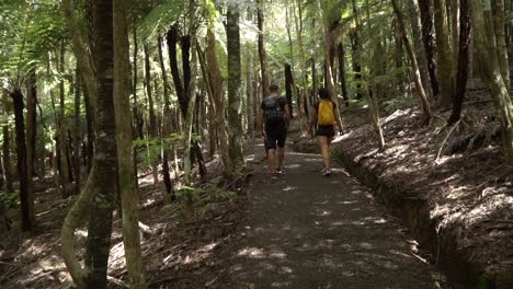 Pareja-Joven-Desde-Atrás-Caminando-Por-El-Bosque-De-Nueva-Zelanda