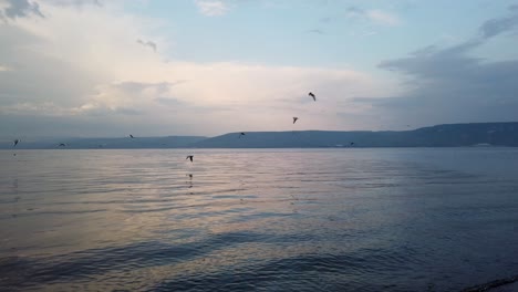 Möwen-Fliegen-über-Das-Tote-Meer,-Versuchen-Fische-Zu-Fangen,-Wolkenverhangener-Blauer-Himmelshintergrund