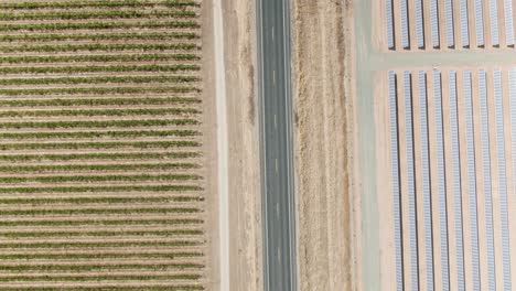 High-altitude-birds-eye-view-over-a-rural-road-in-the-countryside-with-solar-panels-on-the-right-hand-side-and-a-vineyard-on-the-left-hand-side