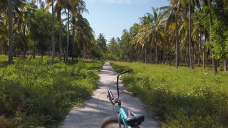 Bicicleta-Colorida-En-Un-Sendero-Para-Caminar-En-Un-Bosque-Tropical-Con-Cocoteros,-Tiro-Estable-Moviéndose-Hacia-Arriba,-Tiro-En-La-Isla-De-Gili-Trawangan,-Bali,-Indonesia