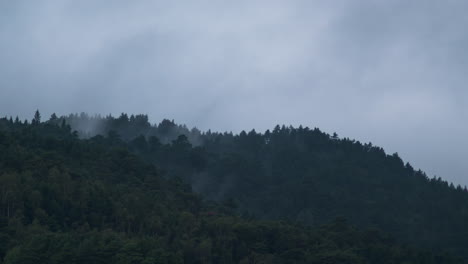 Zeitraffer-Eines-Waldes-Mit-Nebel,-Der-An-Den-Hügeln-Vorbeizieht-–-4K-Zeitraffer