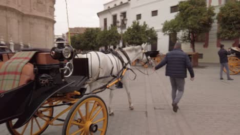 Man-leads-horse-pulling-empty-carriage-in-square-in-Seville,-Spain
