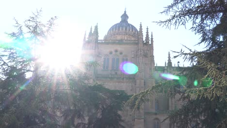 Salamanca,-Spanien---7.-Dezember-2019:-Wunderschöne-Aussicht-Auf-Die-Kathedrale-Von-Salamanca-Hinter-Den-Bäumen-Am-Eingang,-Das-Aufflackern-Der-Sonne-In-Der-Kuppel