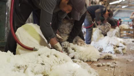 Schafschur-Eines-Bauern-Auf-Einem-Bauernhof-In-Patagonien-–-Mittlere-Aufnahme