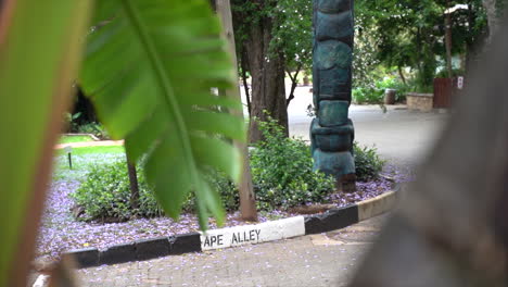 Ape-Alley-road-sign-in-Johannesburg-Zoo,-slow-panning-shot-left-to-right
