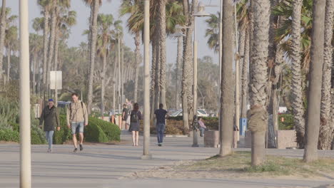Menschen,-Die-Durch-Die-Palmen-Auf-Dem-Bürgersteig-In-Strandnähe-In-Los-Angeles-Spazieren