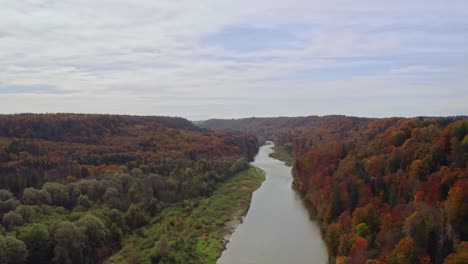 Slow-drone-flight-over-the-Isar-river-surrounded-by-wonderful-autumn-treetops-of-a-forest:-Drone-shot-in-4k-in-southern-bavaria,-Germany