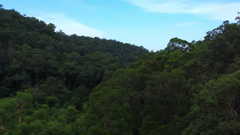 Ich-Flog-über-Einen-Baumdichten-Hang-Und-Enthüllte-Eine-Riesige,-Mit-Bäumen-Bewachsene-Bergkette-In-Sydney,-New-South-Wales,-Australien