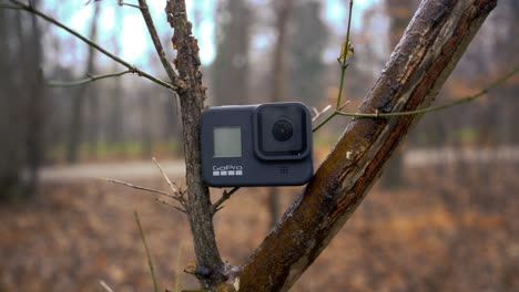GoPro-was-mounted-on-a-tree