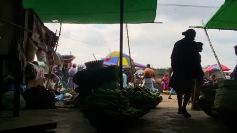 Panning-shot-of-silhouettes-looking-at-the-fresh-produce-at-the-vegetable-market