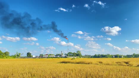 Wide-establisher-view-of-industrial-gas-burning-by-yellow-dry-farmland