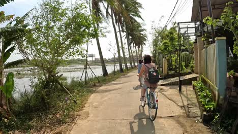 Woman-cycling-on-path-through-rice-paddies-and-palm-trees-Hoi-An,-Vietnam
