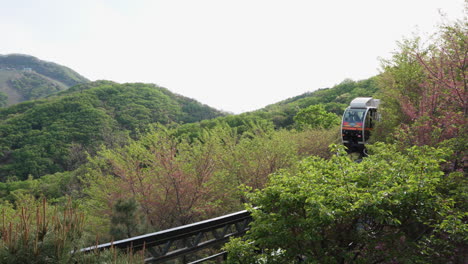 Monorail-Train-Touring-Visitors-Through-Dense-Forest-At-Hwadamsup-Arboretum-In-Gwangju,-South-Korea