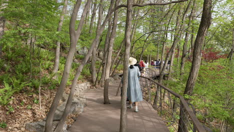 Visitors-Strolling-On-Scenic-Path-With-Lush-Greenery-At-Hwadam-Botanic-Garden-In-Gwangju,-South-Korea