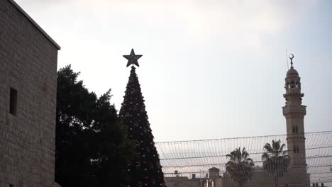 Christmas-tree-in-israel-palestine-bethlehem