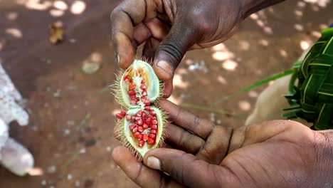 Manos-De-Hombre-Africano-Abriendo-Lápiz-Labial-Fruta-Exótica-Con-Pequeñas-Bolas-Dentro