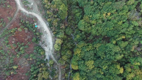 Overhead-Aerial-Drone-shot-autumn-forest-trees-dirt-road-creek
