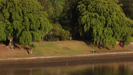 View-of-river-and-Botanic-Gardens-from-Kangaroo-Point,-Brisbane,-Australia