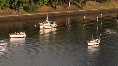 View-of-river-boats-and-Botanic-Gardens-from-Kangaroo-Point,-Brisbane,-Australia