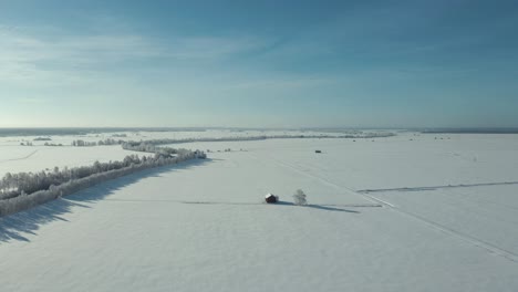 Nordische-Winterlandschaft