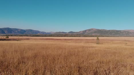 4k-Drone-Vuela-Sobre-Campo-Abierto-En-Las-Montañas-De-Diente-De-Sierra,-Stanley-Idaho