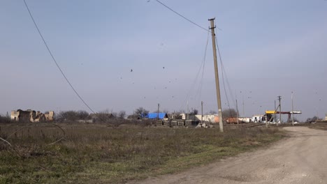 A-murder-of-Crows-fly-over-a-destroyed-petrol-station-and-buildings-in-Posad-Pokrovs’ke-village,-the-centre-of-the-most-fierce-fighting-between-Ukrainian-and-Russian-troops-at-the-start-of-the-war