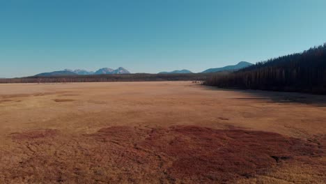 4k-Drone-Vuela-Sobre-Campo-Abierto-En-Las-Montañas-De-Diente-De-Sierra,-Stanley-Idaho