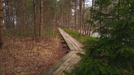Natural-forest-growing-with-wooden-pathway-in-middle,-dolly-forward