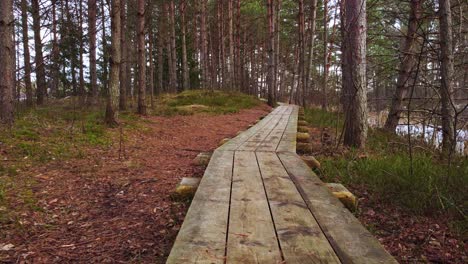 Winding-wooden-pathway-of-dense-forest-landscape,-dolly-forward-view