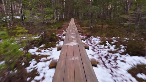 Recreational-walkway-in-dense-forest,-fast-dolly-forward-view